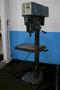 WILTON SINGLE SPINDLE DRILL: STOCK #75744