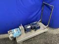 Waukesha 3 Hp Pump - 030 U1