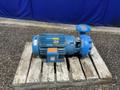 Goulds Pumps Pump - 3656