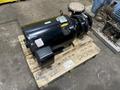65 GPM X 3 HP LAKOS FILTRATION PUMP &amp; STRAINER: STOCK #21909