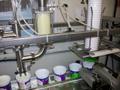 Tindall Model 772 Cultured Products Single Lane Filler – Production Ready!