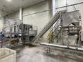 Tri-Berry Bulk Filling System with Tote Dumper and Scale