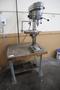 Continental 14" Drill Press on Work Bench, 12 Speed, Single Phase, 1/2 HP- Auction Item