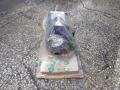 Rexroth Servo Motor - Msk101d-0200-nn-m1-ag2-nnnn