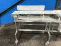 12” X 82” CONVEYOR