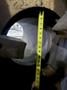 13" HOLE / 24" CHUCK BOLTON ALLOYS MODEL WHS-230 POWERED HEADSTOCK POSITIONER: STOCK #25862
