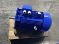 SPECK 18.5 KW MOTOR  -  DC3SIEK160L2