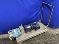 WAUKESHA 3 HP PUMP  -  030 U1