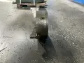 ROHM 12.5” 3 JAW CHUCK  -  315