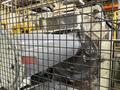1 1/4&quot; National Model 1250 Five Die Cold Former