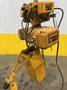 10,000 LB (5 TON) HARRINGTON MOTORIZED CHAIN HOIST W/ POWER TROLLEY: STOCK #19953