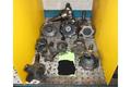 2.5&quot; DEVLIEG 2B-36 SPIRAMATIC HORIZONTAL BORING MILL W/ TOOLING. STOCK # 0881425