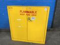 PROTECTOSEAL CO 30 GAL FLAMMABLE CABINET  -  5503S