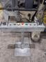60 TON MINSTER MODEL #P2-60-36 PIECEMAKER SSDC STAMPING PRESS, 3" STROKE &amp; 100/300 SPM: YOBRO #25761