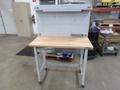 Portable Work Bench with Maple Top, Upper Shelf, Drawer, Work light- Auction Item