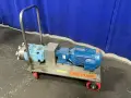 WAUKESHA 3 HP PUMP