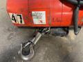 CM 1/4 TON ELECTRIC CHAIN HOIST   -  WB