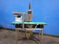 ALPHA CHECKWEIGHERS 12" X 58" CHECKWEIGHER  -  PW-12