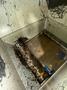 60 HP VECOPLAN RG42/60 XL SHREDDER(NEW IN 2006) STOCK # 0670925