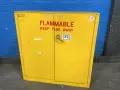 PROTECTOSEAL CO 30 GAL FLAMMABLE CABINET  -  5503S