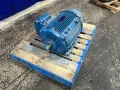 WEG 60 HP MOTOR   -  1018469625