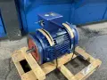 MARATHON 75 HP MOTOR  -  TVJ 365TSTFS16524AN W