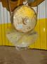 5 TON YALE MODEL #BE050X026L15S CABLE HOIST WITH POWER TROLLEY: STOCK #25557