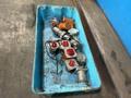 CROUSE HINDS ARKTITE PLUGS