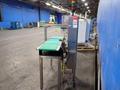 ALPHA CHECKWEIGHERS 12" X 58" CHECKWEIGHER  -  PW-12
