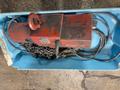 DAYTON 2 TON ELECTRIC HOIST   -  3YB77