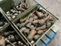 PADUCAH, GEARMOTOR TOOL HOLDERS