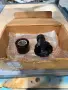 16” DORSEY 16H OPTICAL COMPARATOR DRO 2003’ #7772