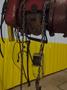 5 TON 10,000 LBS BOBCAT POWER CABLE HOIST WITH TROLLEY: STOCK #18939