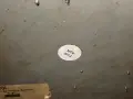 HAAS AUTOMATION INC BRUSHLESS ROTARY CONTROL