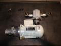 TEE Electric Motor - Q1EFA71M4A-40, 1670RPM 230v/460v &amp; Marzocchi Gear Pump - ALP2A-D-30 10GPM, 2600PSI- Auction Item