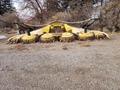 John Deere Rotary Forage Corn Head 770, 1998