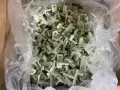 INFINITI PLASTICS &amp; ENGINEERING INC. FRONT DOOR CLIPS  -  1781