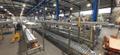 Pattyn Case Packing &amp; Palletizing Line – 2022 – Includes Inserter, Filler, Closer &amp; Conveyors