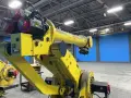 FANUC ROBOT ARM  -  M-900IA/260L