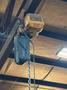3 TON HARRINGTON HOIST: STOCK #23289