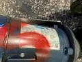 PULSAFEEDER 75 PSI BLACKLINE PUMP  -  MD3GAA5N2C