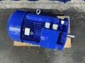 SPECK 18.5 KW MOTOR  -  DC3SIEK160L2