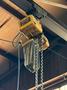 3 TON HARRINGTON HOIST: STOCK #23291
