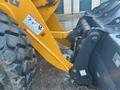 2023 LIUGONG 838 HV