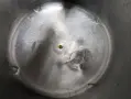 200 GALLON STAINLESS STEEL TANK