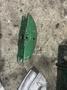 1/2&quot; THRU 2&quot; GREENLEE ONE SHOT HYDRAULIC BENDER: YOBRO #24035
