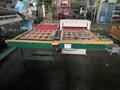 ROTOCUT 30" Systems Pass Thru Die Cutter