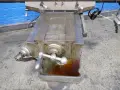 SHARP INDUSTRIES 9" X 49" VERTICAL MILL  -  SHARP-HMV