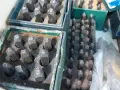 ALLOY STEEL HAND STAMPS