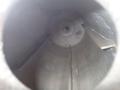 PRECISION 50 GALLON REACTOR